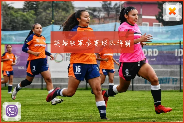 英超联赛参赛球队详解