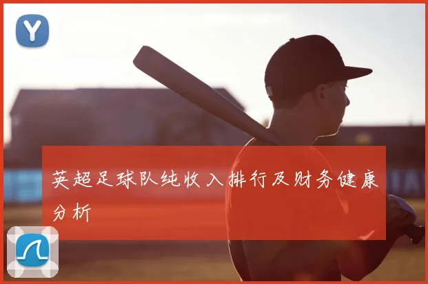 英超足球队纯收入排行及财务健康分析