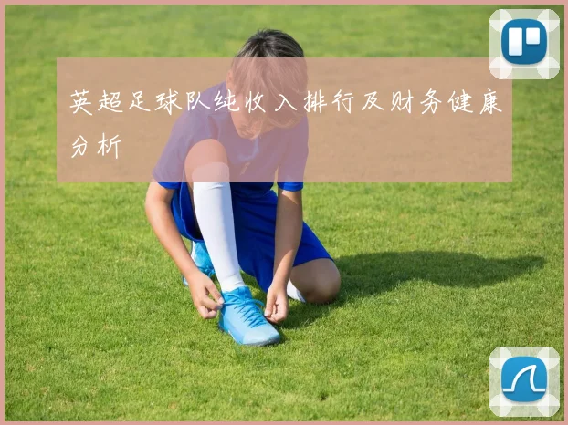 英超足球队纯收入排行及财务健康分析